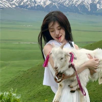 猫王传奇